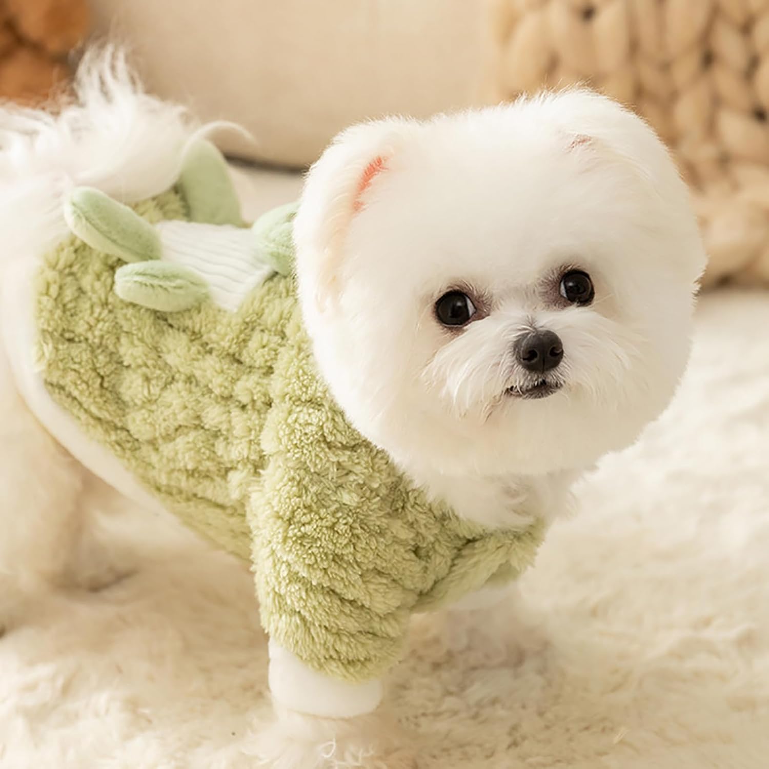 KFX-4843709 Cute 3D Frog Design Plush Dog and Cat Hoodie for Small and Medium Pets
