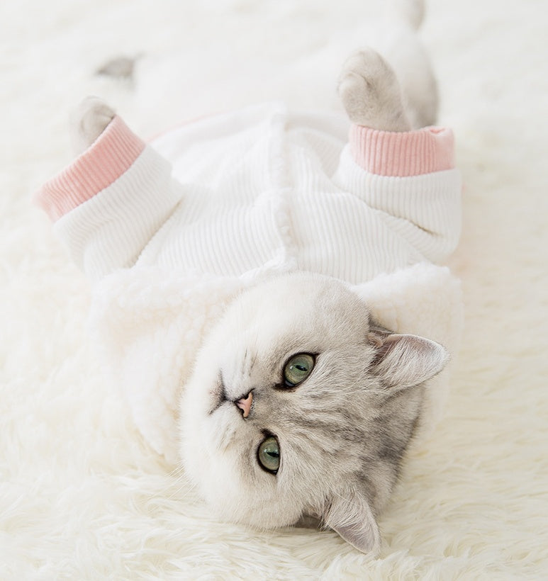 KFX-4849341 Cute Cartoon Pet Cotton Corduroy & Lamb Wool Jacket - Various Sizes Available