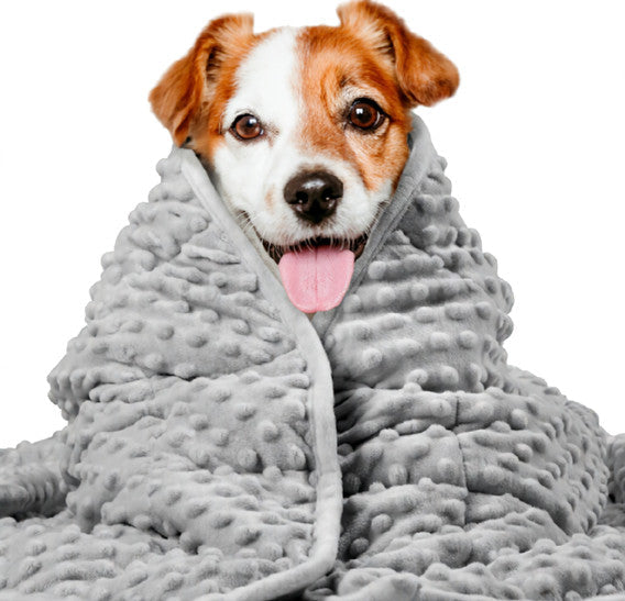 KFX-4851517 Washable Dog Anxiety Blanket - Soft Polyester, Available in Gray, Dark Blue, and Gray-Blue, 81.3 x 61 cm