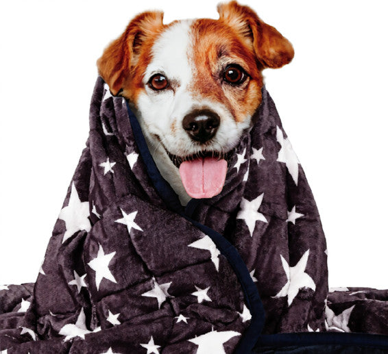 KFX-4851517 Washable Dog Anxiety Blanket - Soft Polyester, Available in Gray, Dark Blue, and Gray-Blue, 81.3 x 61 cm