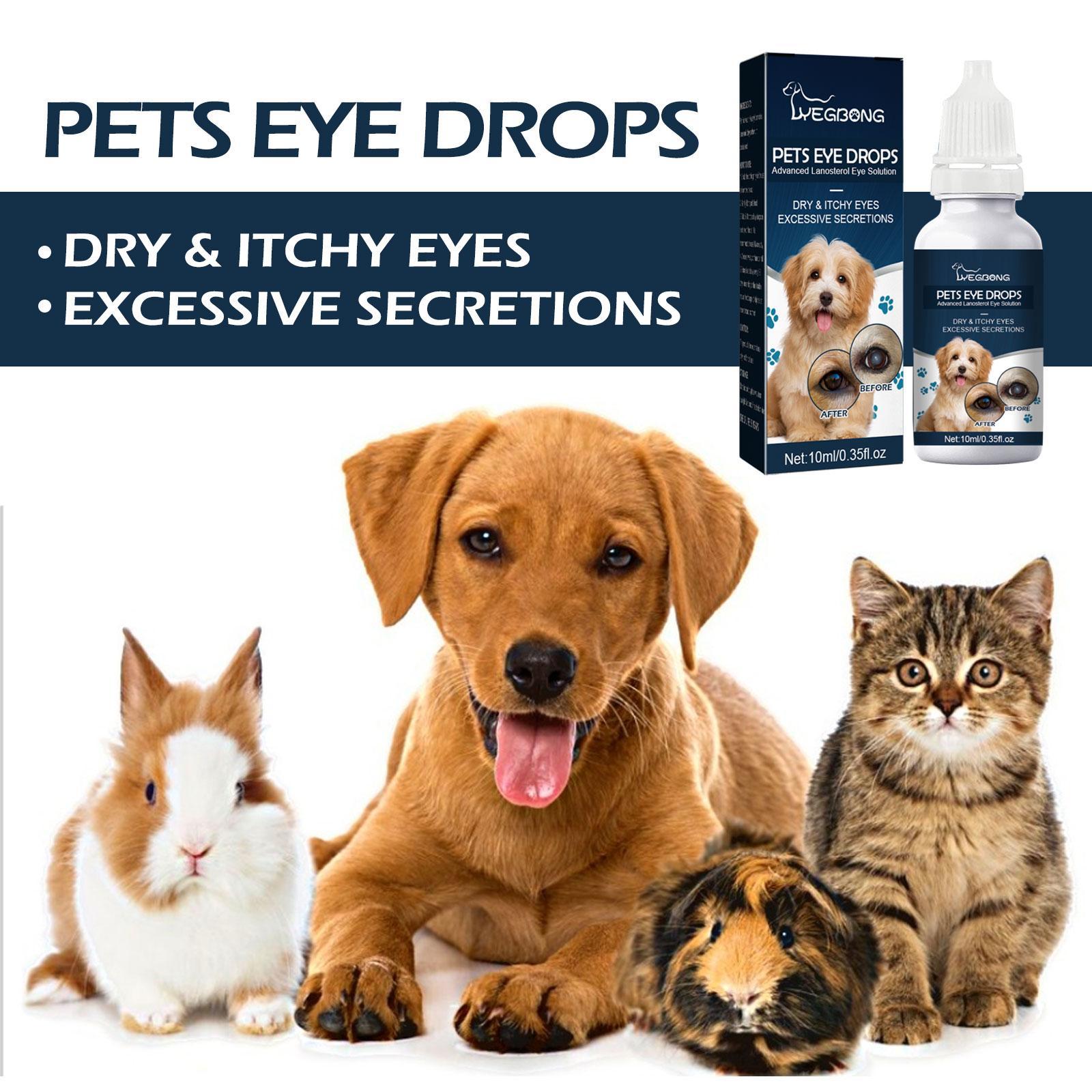 KFX-4852541 Pet Eye Drops for Cats and Dogs – Reduce Tear Marks, Soothe Itchy Eyes, and Clean Eye Area
