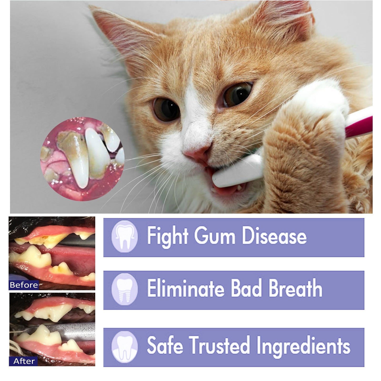 KFX-4856253 Pet Oral Cleansing Cream for Dogs and Cats - 50g Odor Neutralizing Toothpaste