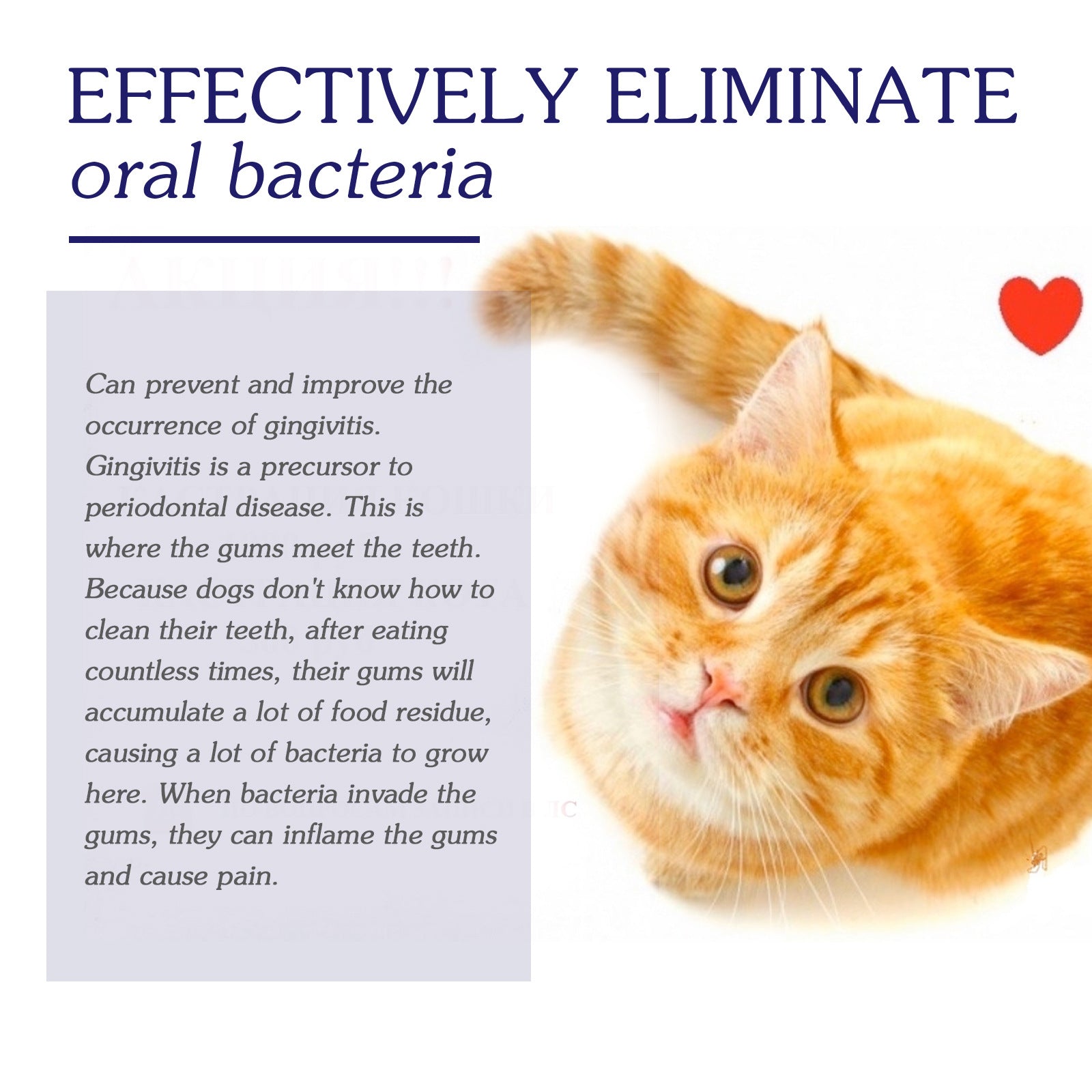 KFX-4856253 Pet Oral Cleansing Cream for Dogs and Cats - 50g Odor Neutralizing Toothpaste