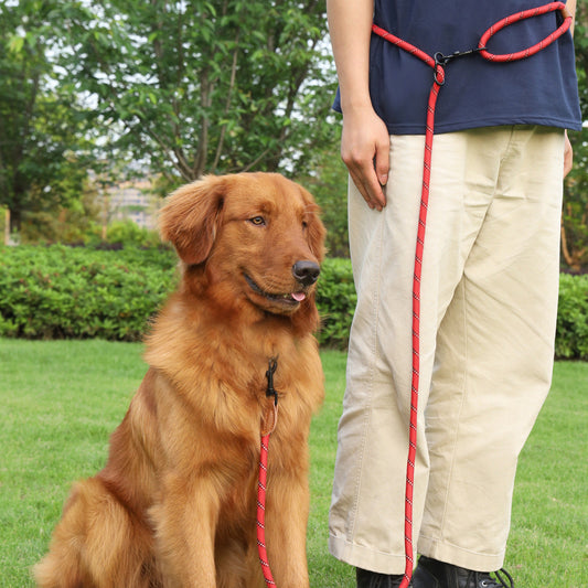 KFX-4860221 Adjustable Reflective Pet Hand Holding Rope - Versatile Polyester Leash in Multiple Colors