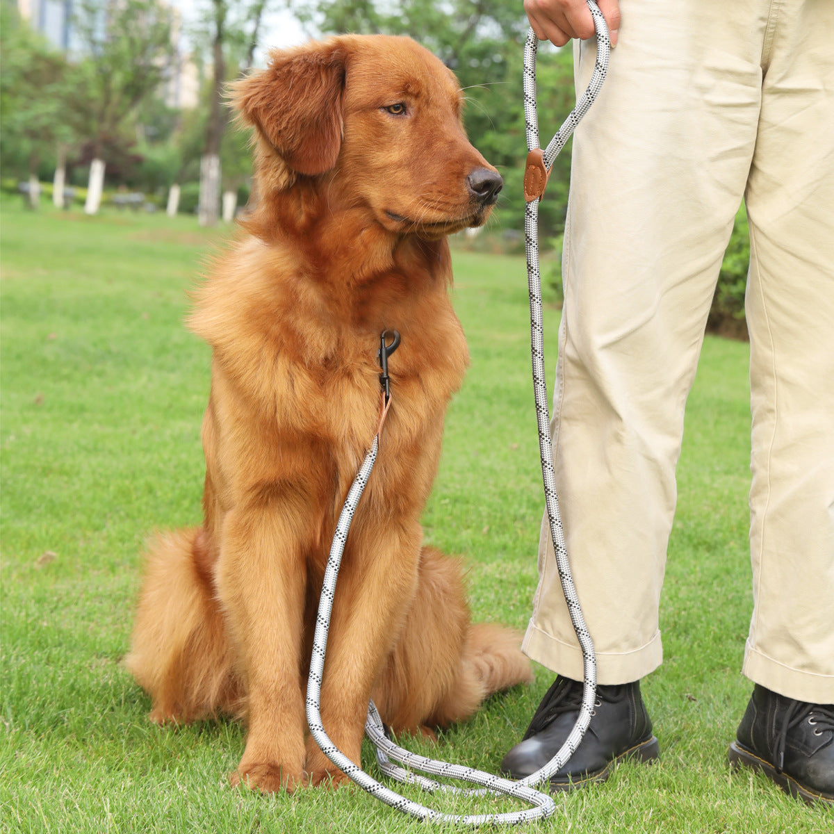 KFX-4860221 Adjustable Reflective Pet Hand Holding Rope - Versatile Polyester Leash in Multiple Colors