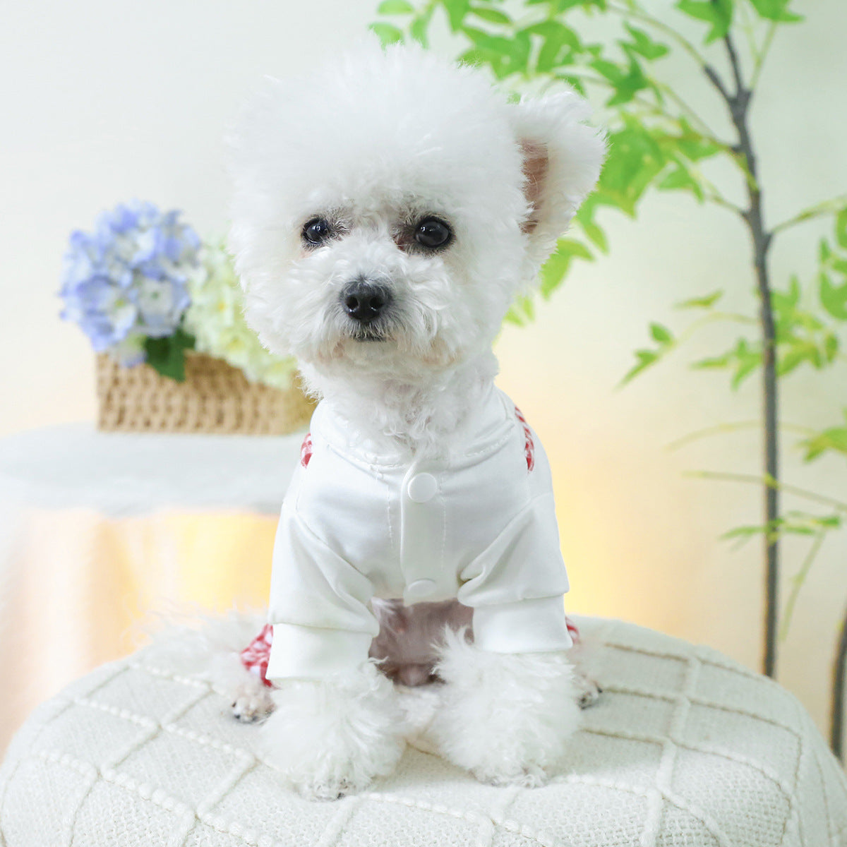 KFX-4860989 Plaid Overalls for Dogs in Black & White or Red & White - Casual Polyester Pet Clothing