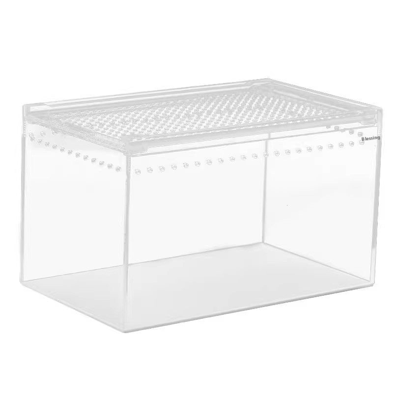 KFX-4861885 Acrylic High Permeability Feeding Box for Reptiles - Multiple Sizes Available
