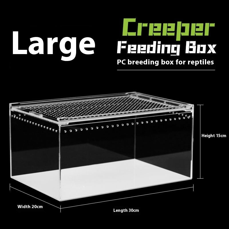KFX-4861885 Acrylic High Permeability Feeding Box for Reptiles - Multiple Sizes Available
