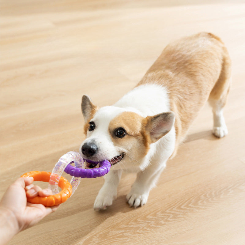 KFX-4869437 Durable Flying Disk and Training Ring for Interactive Play with Small to Medium Dogs