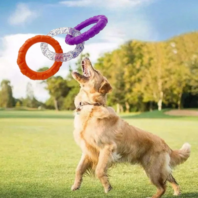 KFX-4869437 Durable Flying Disk and Training Ring for Interactive Play with Small to Medium Dogs