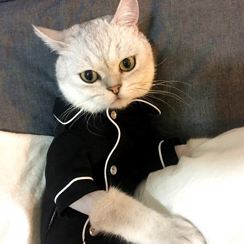 KFX-4870333 Summer Cat Dress - Casual Pajamas for Feline Comfort in Various Sizes