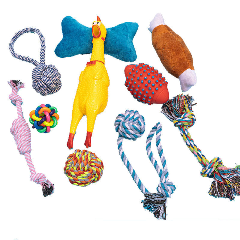 KFX-4872765 10-Piece Durable Dog Toy Set for Chewing and Boredom Relief
