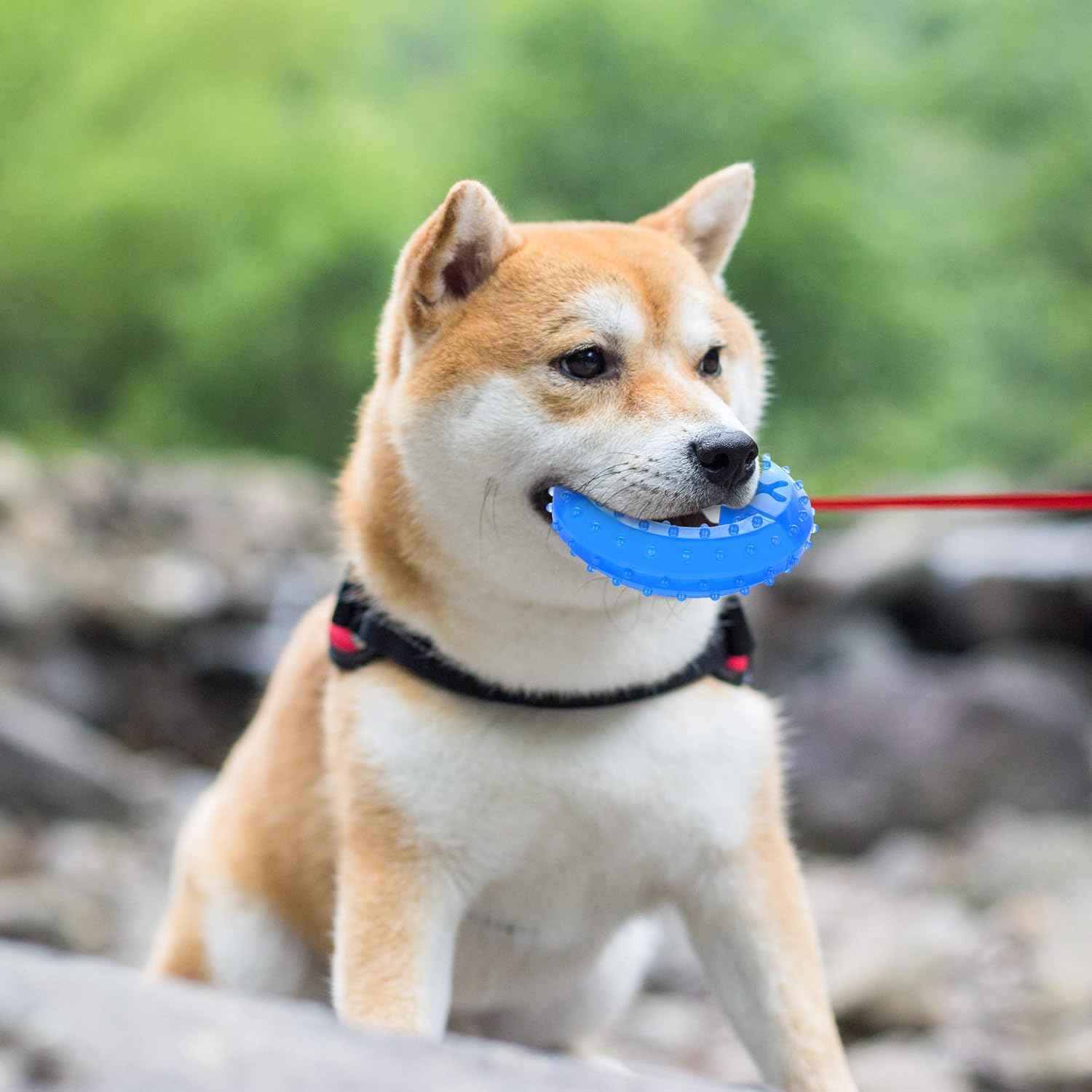 KFX-4873405 Cooling Teether Chew Toy for Dogs - Freezable Non-Toxic Puppy Dental Health Toy