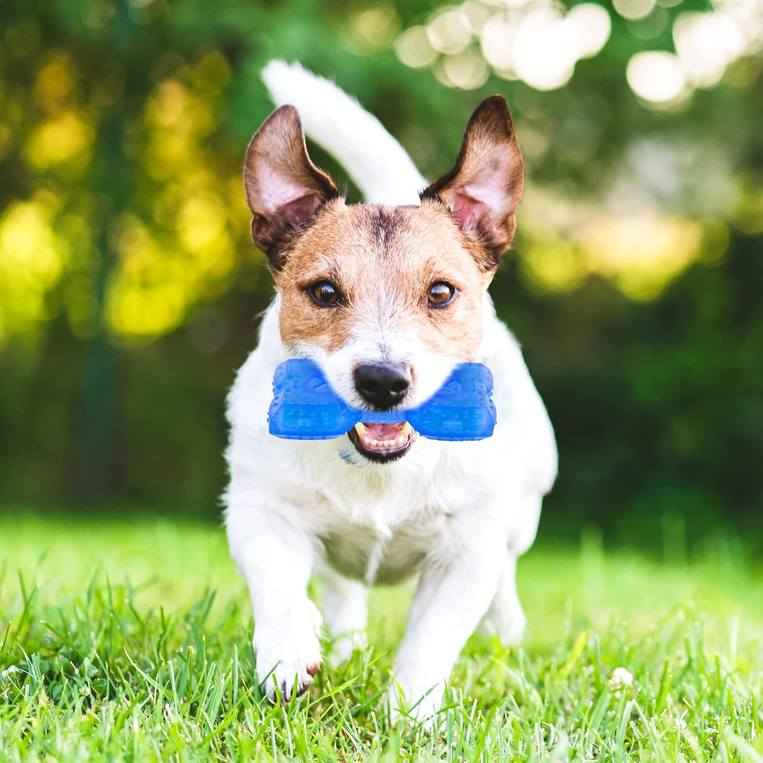 KFX-4873405 Cooling Teether Chew Toy for Dogs - Freezable Non-Toxic Puppy Dental Health Toy