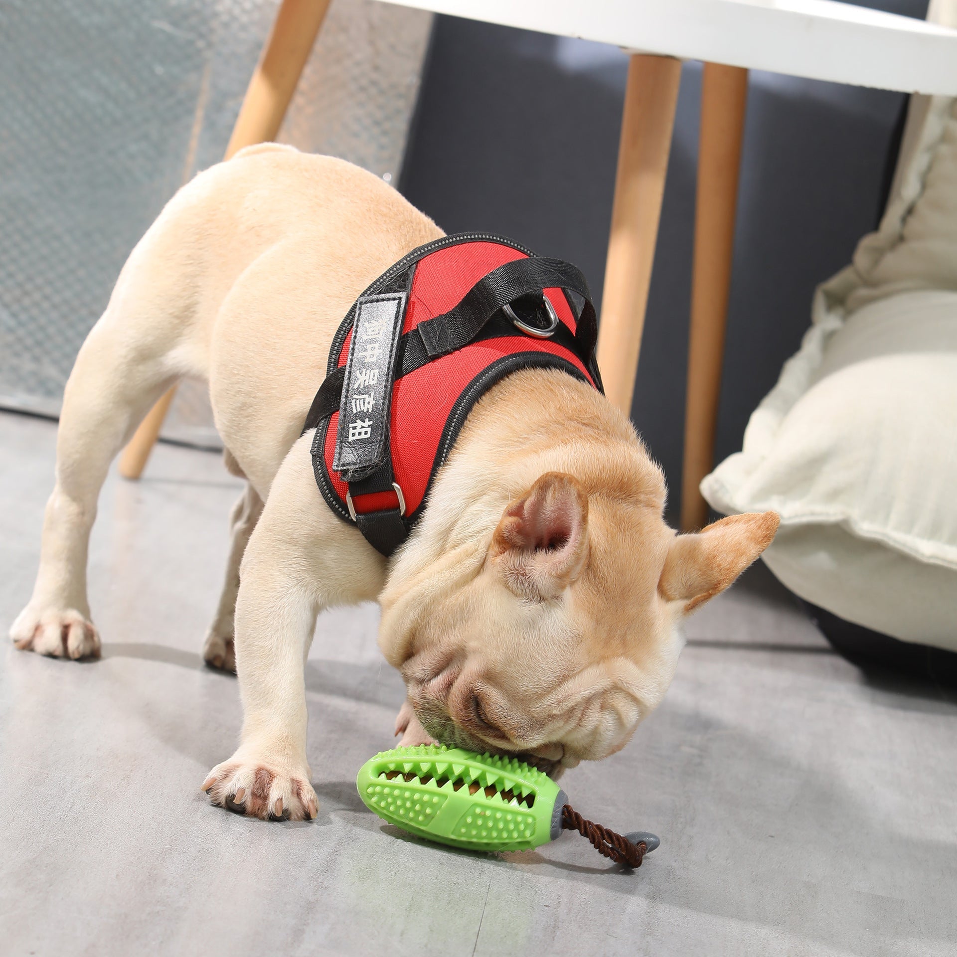 KFX-4874557 Decompressing Elastic Rubber Balls for Pets – Biting Toy in Multiple Colors