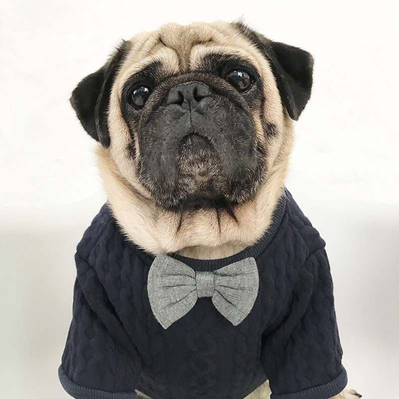 KFX-4878269 Bago Casual Pet Bow Tie Dress for Dogs - XL Graphic Color Design