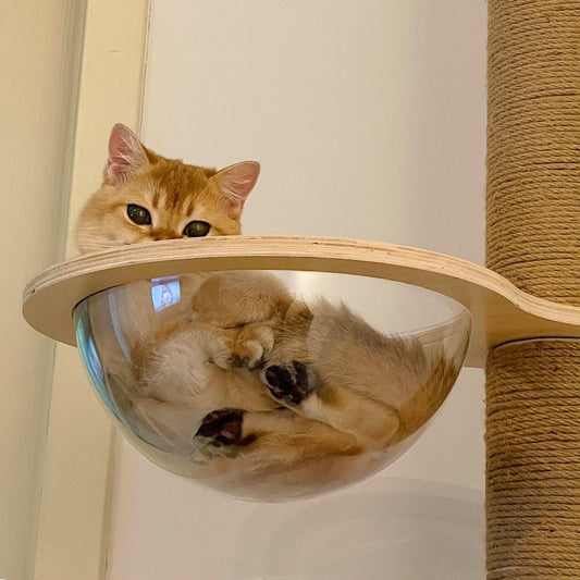 KFX-4879293 DIY Acrylic Cat Climbing Frame with Connectors and Modular Accessories