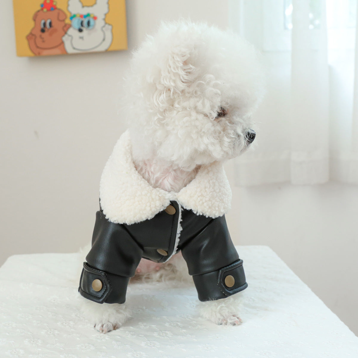 KFX-4882749 Cozy Fleece-Lined Pet Coat - Warm Padded Winter Apparel for Dogs