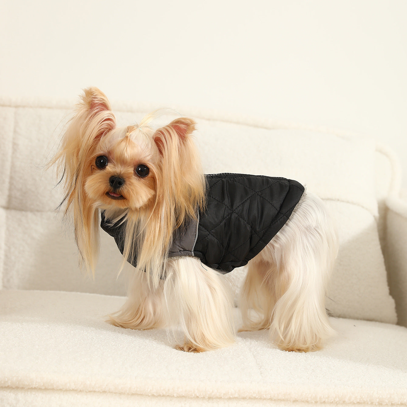 KFX-4883261 Contrast Color Diamond Plaid Cotton-Padded Waterproof Ski Suit for Pets