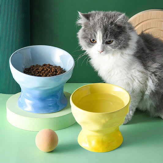 KFX-4899133 Ceramic Cat and Dog Bowl with Cervical Spine Protection - Available in Multiple Colors