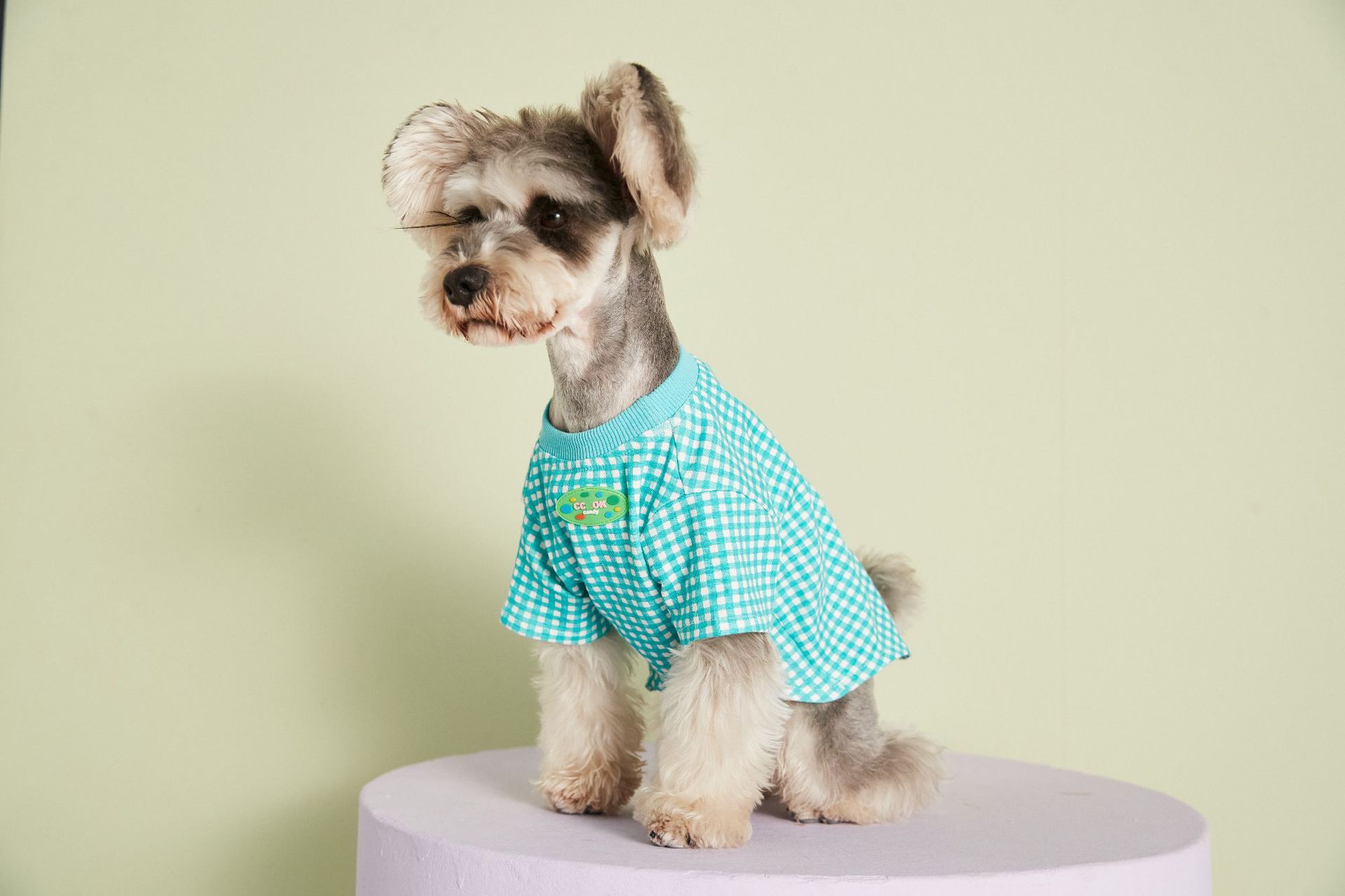KFX-4899517 Candy Color Plaid T-Shirt in Blue, Yellow, and Pink for a Casual Summer Look - Sizes XS to XXL