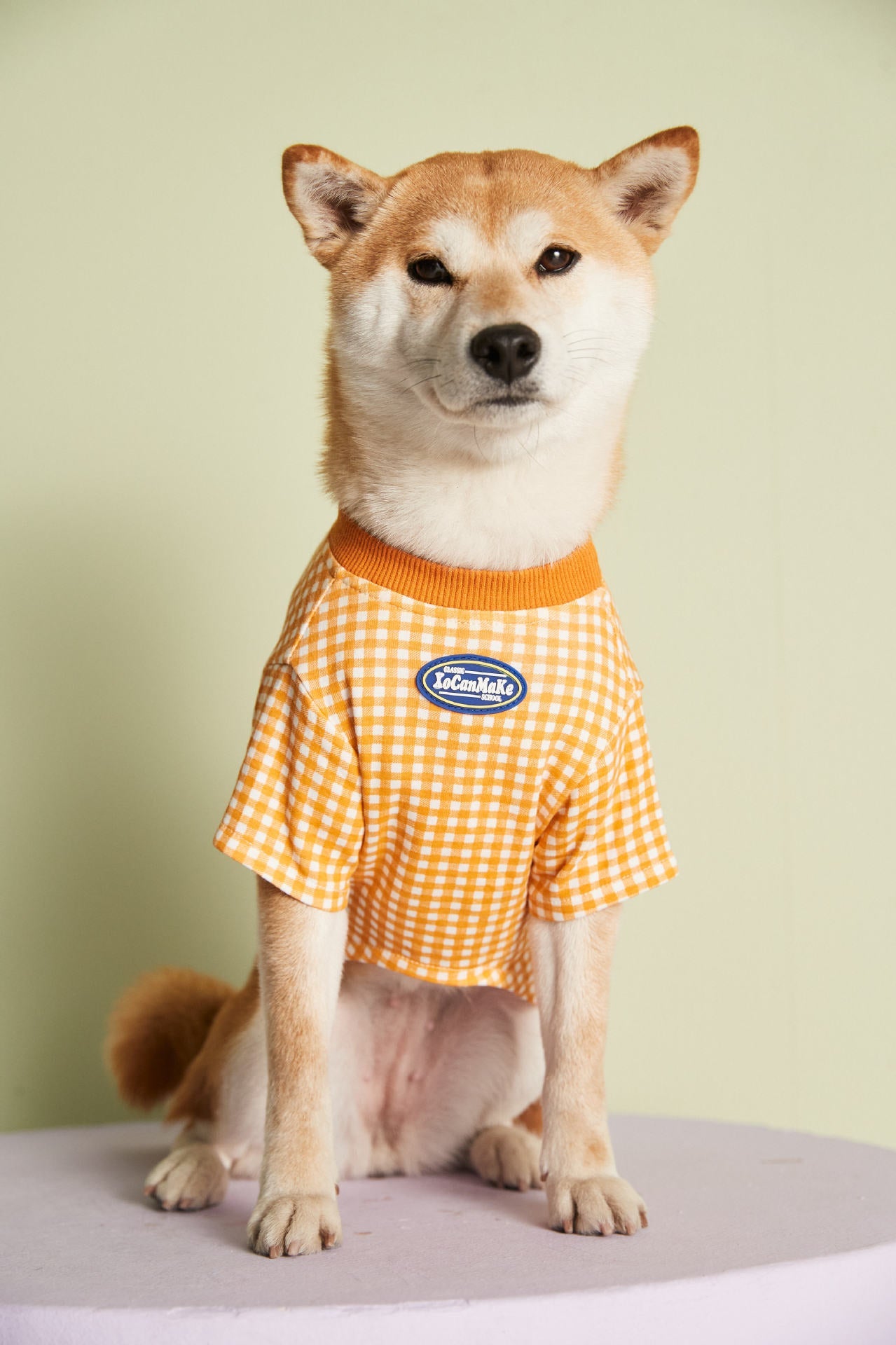 KFX-4899517 Candy Color Plaid T-Shirt in Blue, Yellow, and Pink for a Casual Summer Look - Sizes XS to XXL