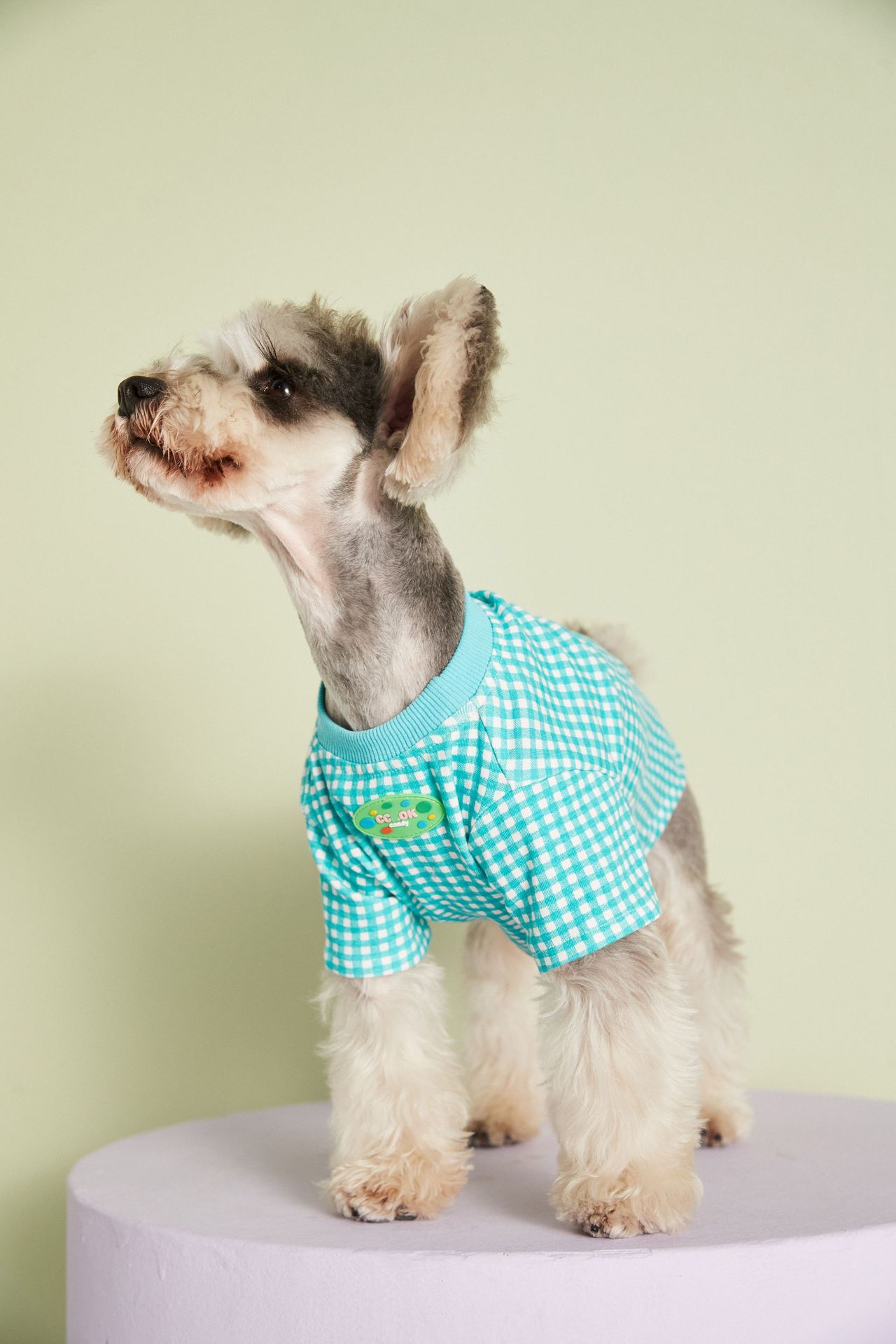 KFX-4899517 Candy Color Plaid T-Shirt in Blue, Yellow, and Pink for a Casual Summer Look - Sizes XS to XXL