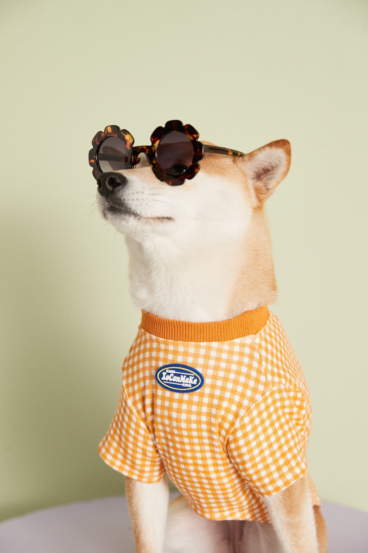 KFX-4899517 Candy Color Plaid T-Shirt in Blue, Yellow, and Pink for a Casual Summer Look - Sizes XS to XXL