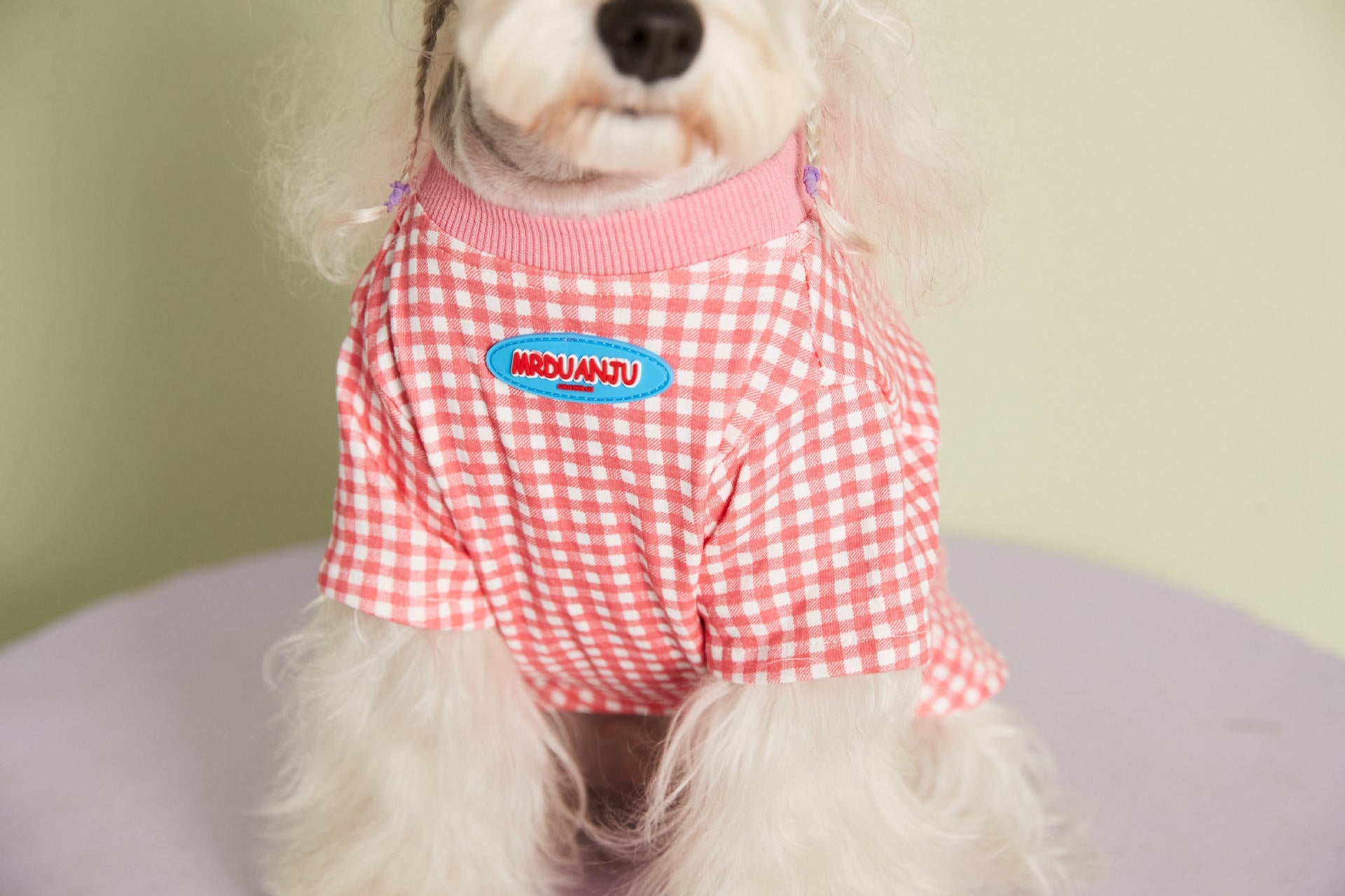 KFX-4899517 Candy Color Plaid T-Shirt in Blue, Yellow, and Pink for a Casual Summer Look - Sizes XS to XXL