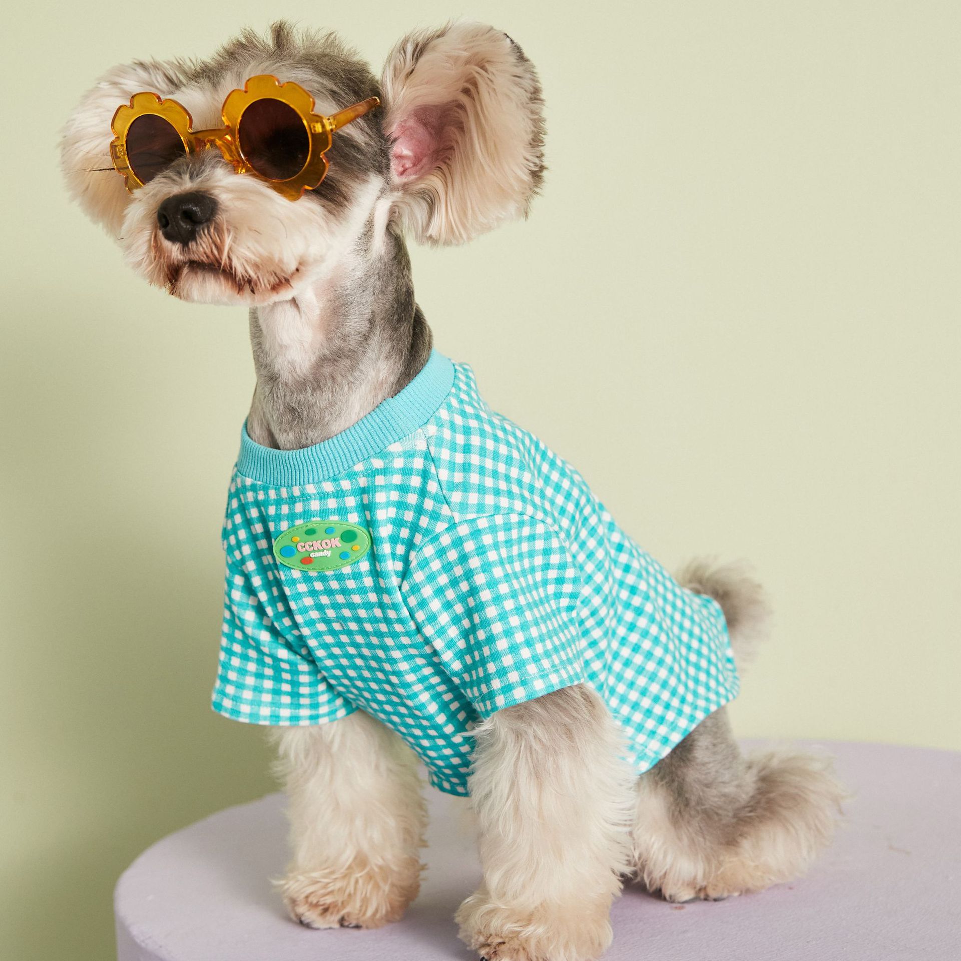 KFX-4899517 Candy Color Plaid T-Shirt in Blue, Yellow, and Pink for a Casual Summer Look - Sizes XS to XXL