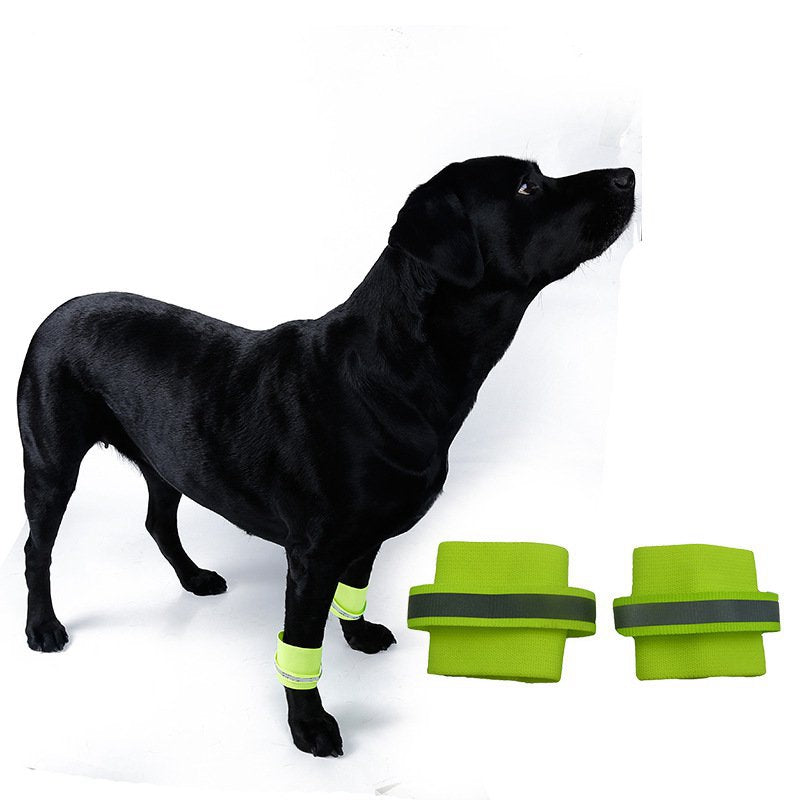 KFX-4907069 Fluorescent Dog Training Foot Covers - Universal Fit, Polyester Material