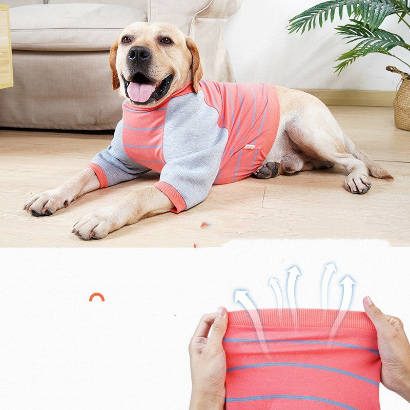 KFX-4908861 Dog Elbow Pads for Dogs - Cotton Material in Orange and Black Stripes, Sizes S-XXL