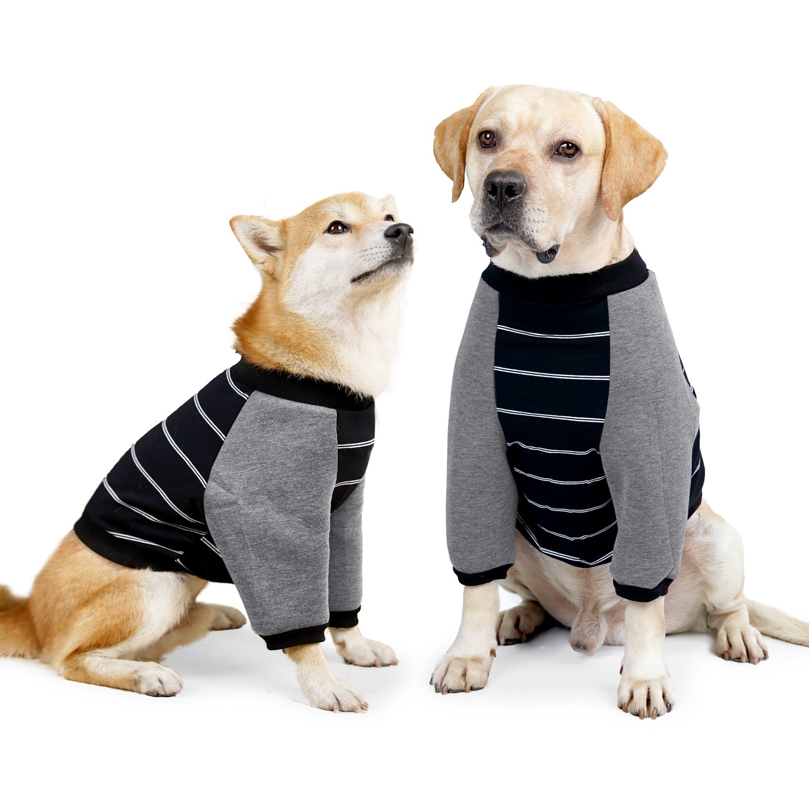 KFX-4908861 Dog Elbow Pads for Dogs - Cotton Material in Orange and Black Stripes, Sizes S-XXL