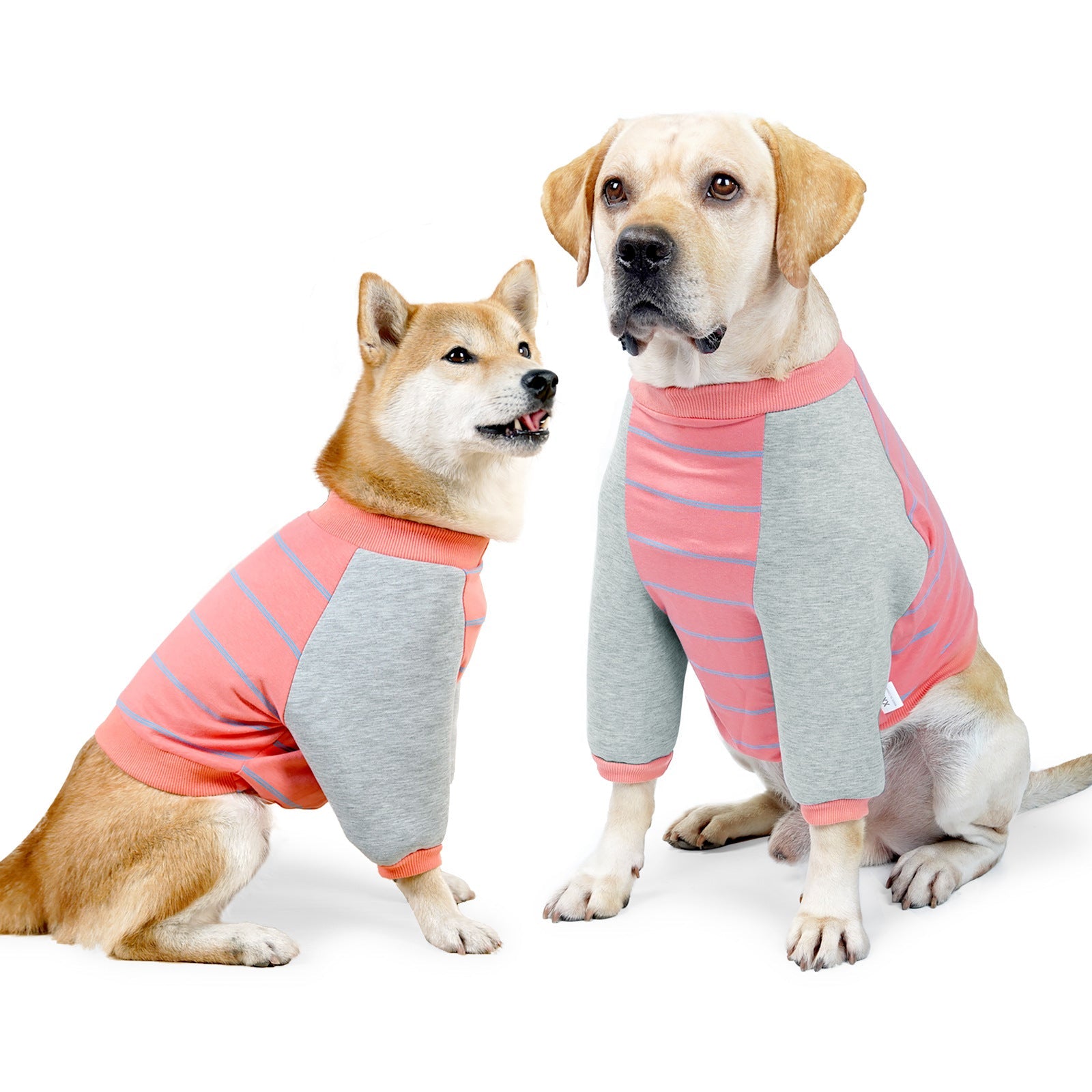 KFX-4908861 Dog Elbow Pads for Dogs - Cotton Material in Orange and Black Stripes, Sizes S-XXL