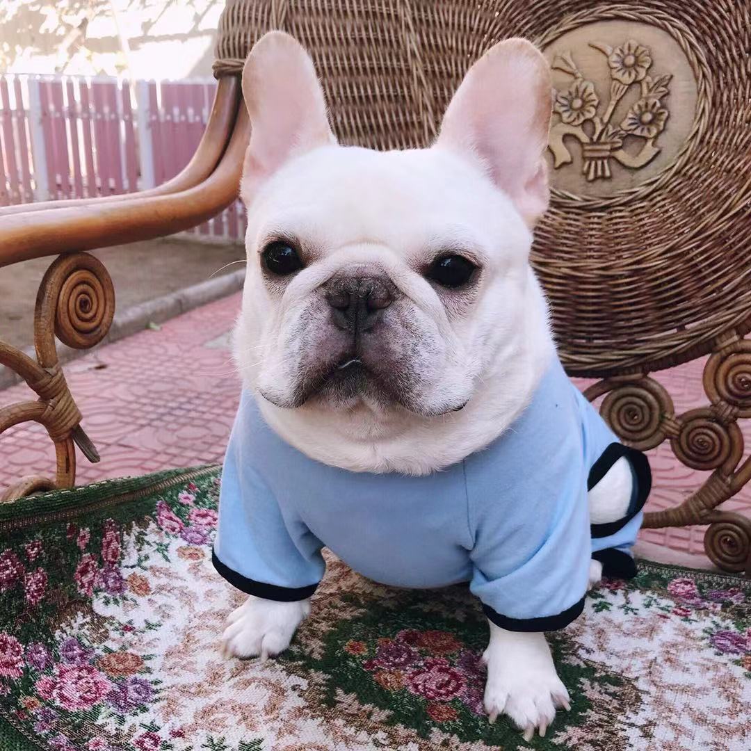 KFX-4911037 Cotton Printed Pajamas for Dogs in Gray, Blue, and Pink Options