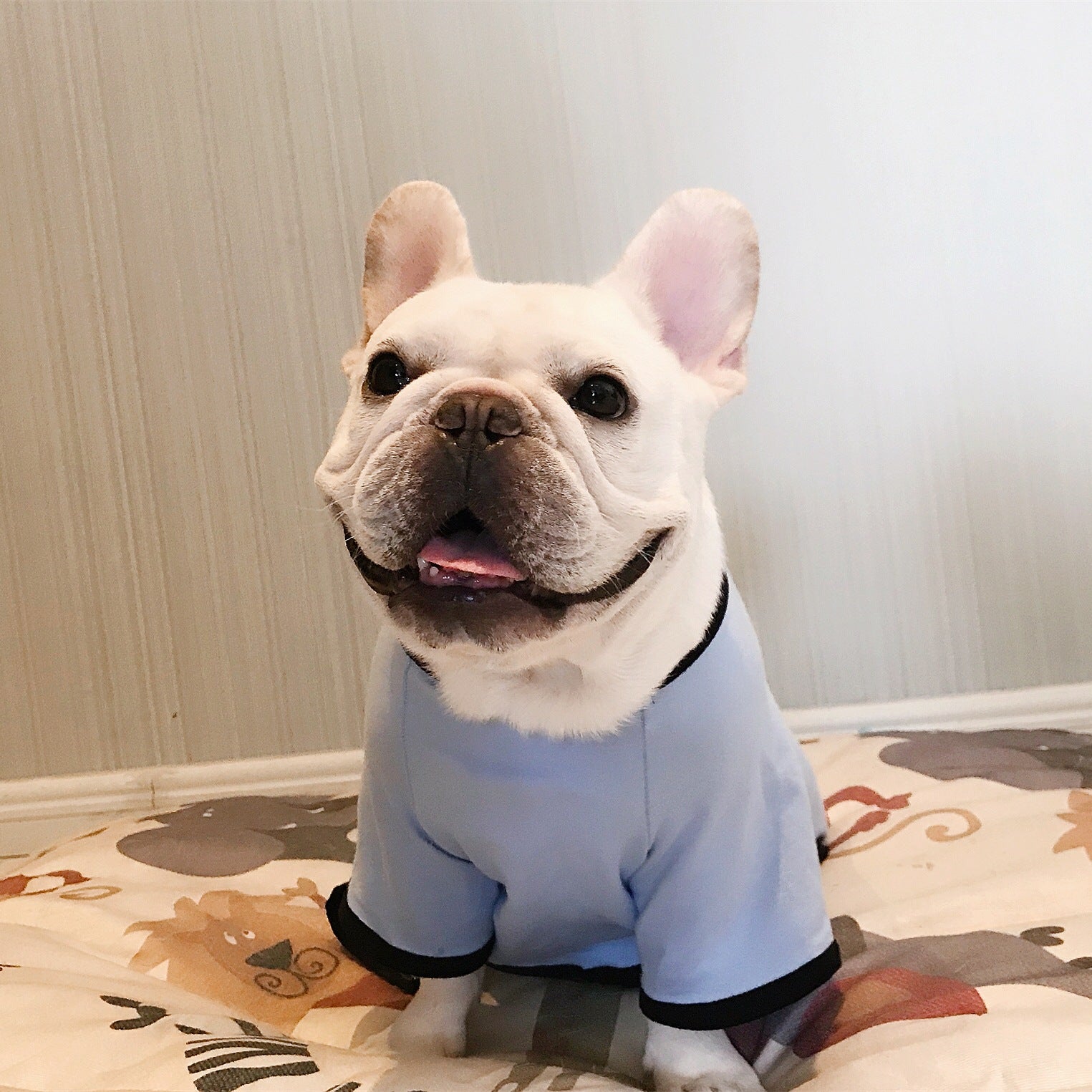 KFX-4911037 Cotton Printed Pajamas for Dogs in Gray, Blue, and Pink Options