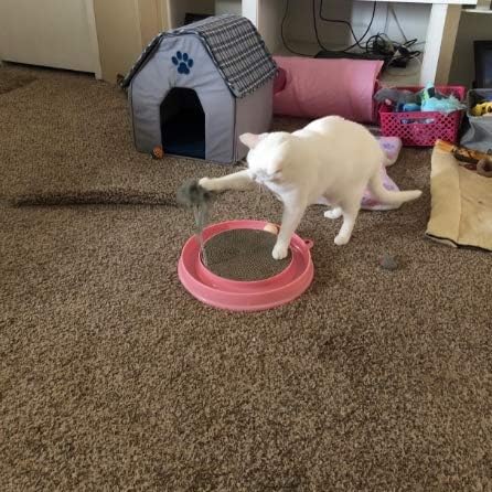 KFX-4911933 Interactive Cat Scratcher Toy with Ball and Mouse Swatter - Engaging Scratch Pad for Cats and Kittens, 13" Base, Durable Design
