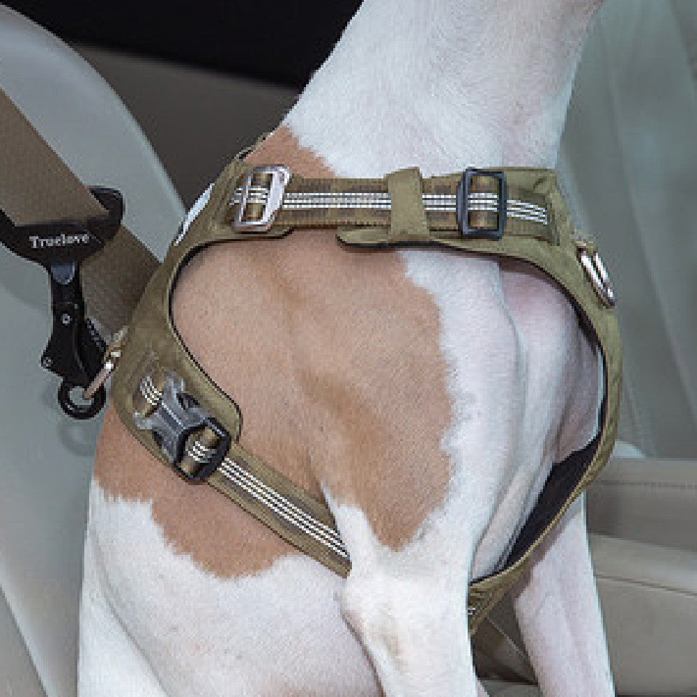 KFX-4919997 Adjustable Pet Safety Buckle for Secure Car Travel - Aluminum Alloy, Multiple Colors