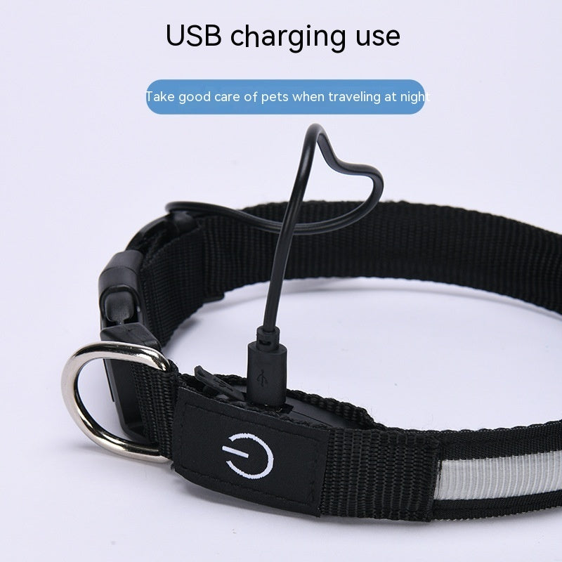 KFX-4923965 Colorful LED Nylon Fishing Line Luminous Collar with USB Rechargeable Battery, 70CM Length
