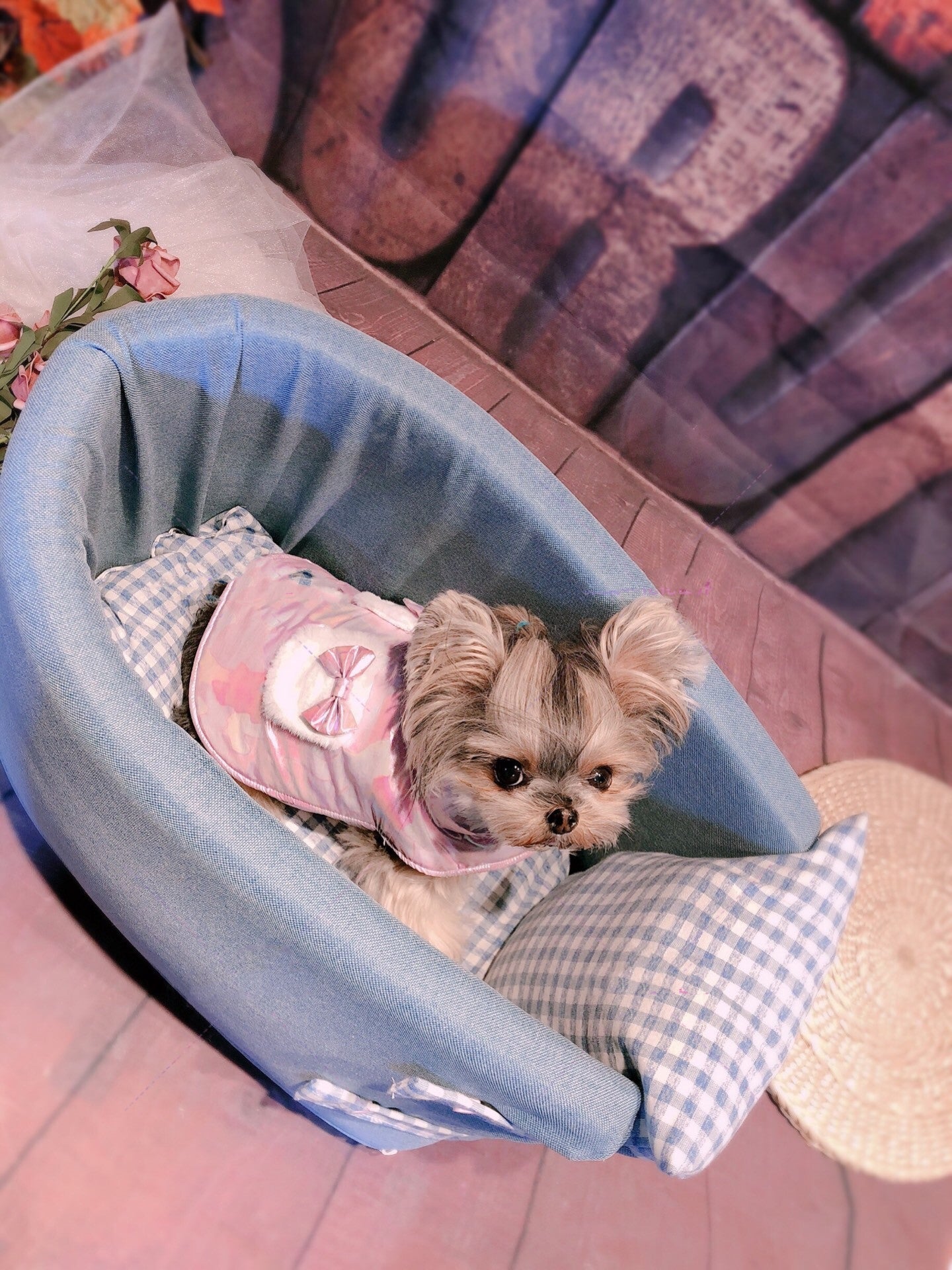 KFX-4937533 Portable Dog Car Seat with Removable Washable Cover for Pets Up to 6kg