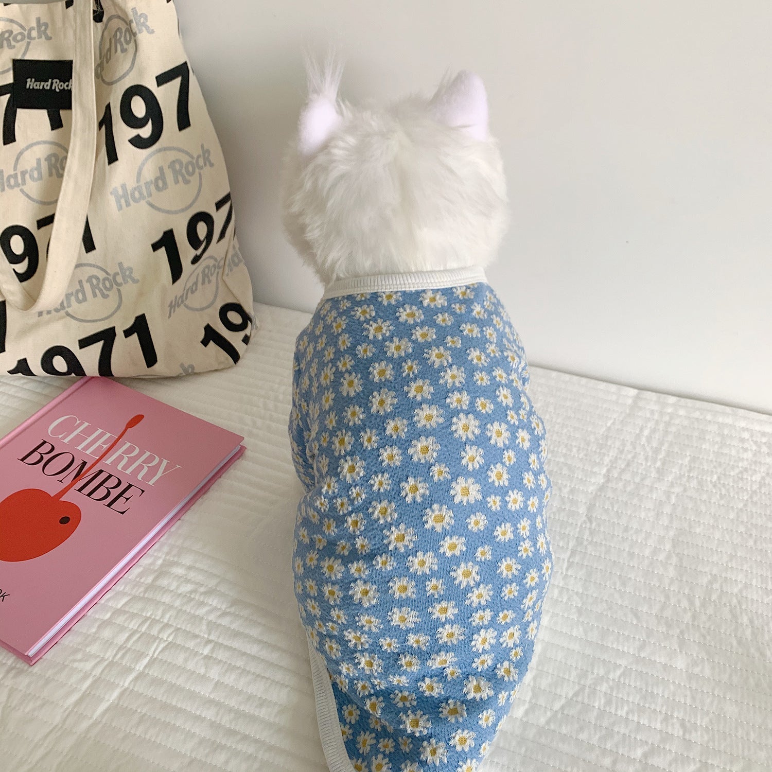 KFX-4939837 Cozy Autumn and Winter Dog and Cat Sweater in Purple and Blue