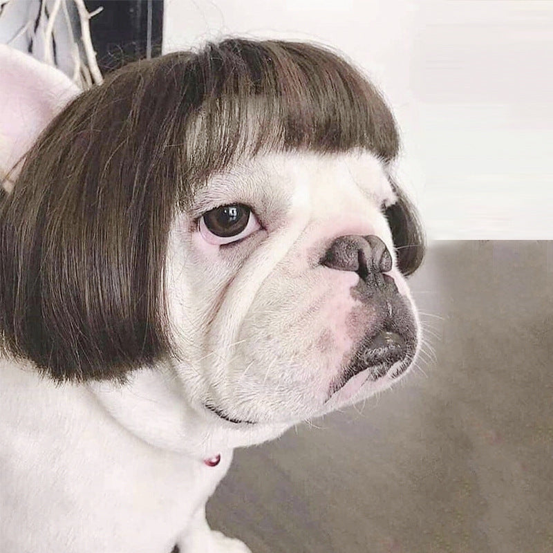 KFX-4942269 Pet Headgear Wig for Dogs - Free Size Acrylic Japanese and Korean Style - Perfect for Festivals