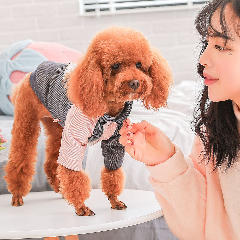 KFX-4945597 Cute Cotton Coat for Small Dogs - Three-Color Stitching, Sizes XS to XXL