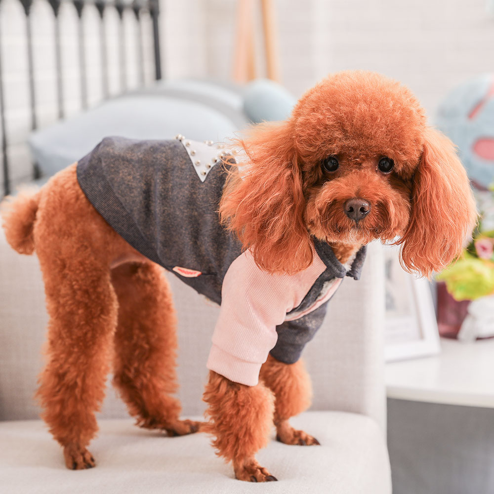 KFX-4945597 Cute Cotton Coat for Small Dogs - Three-Color Stitching, Sizes XS to XXL