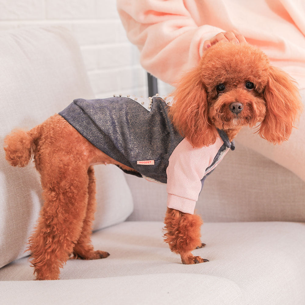 KFX-4945597 Cute Cotton Coat for Small Dogs - Three-Color Stitching, Sizes XS to XXL
