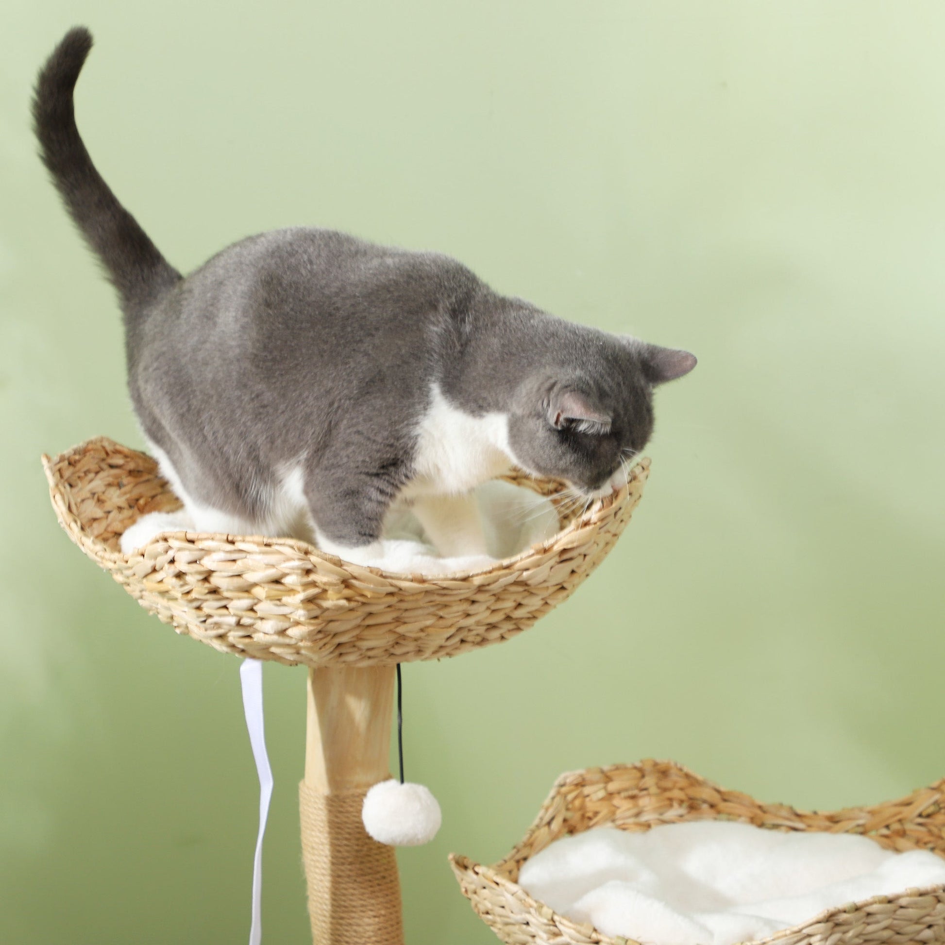 KFX-4946493 Modern 37-Inch Cat Tree with Wooden Scratching Posts, Condo, Beds, Cushions, and Toy Balls