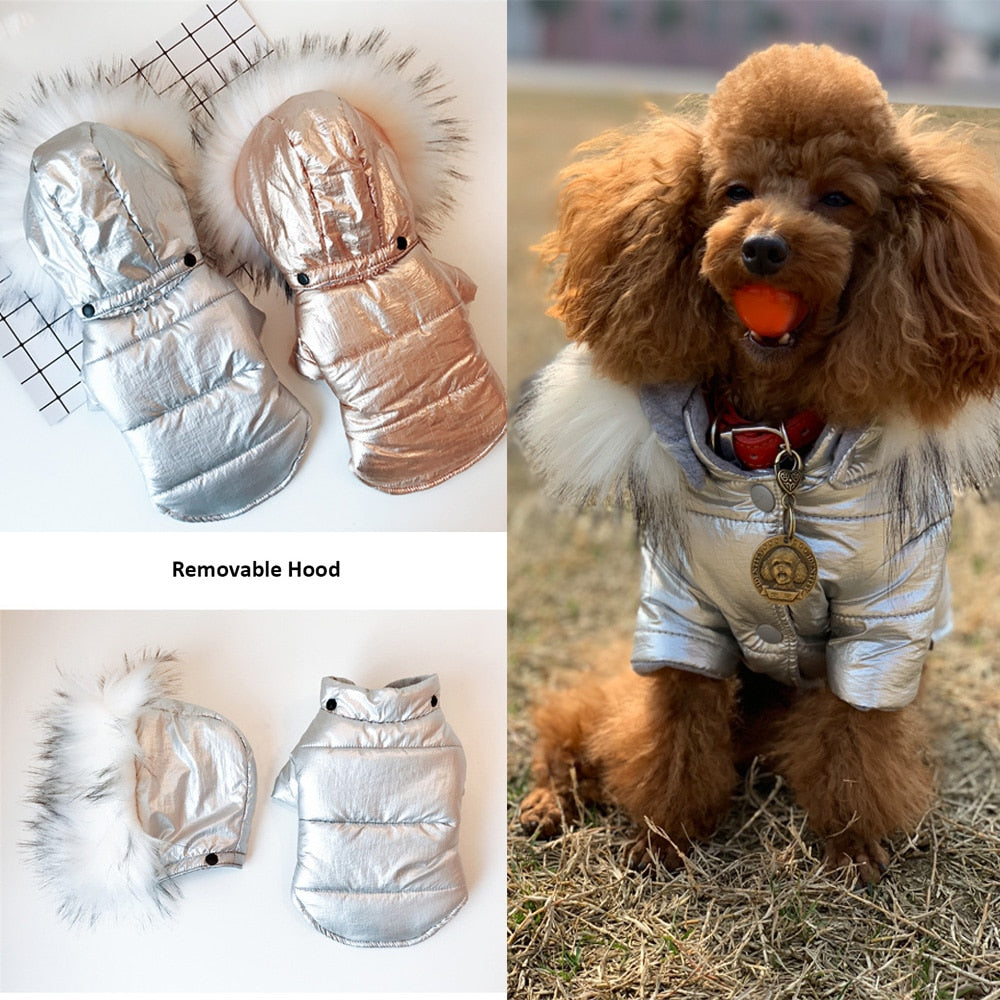 KFX-4953149 Cozy Cotton-Padded Dog Jacket with Fur Collar in Bright Gold and Silver