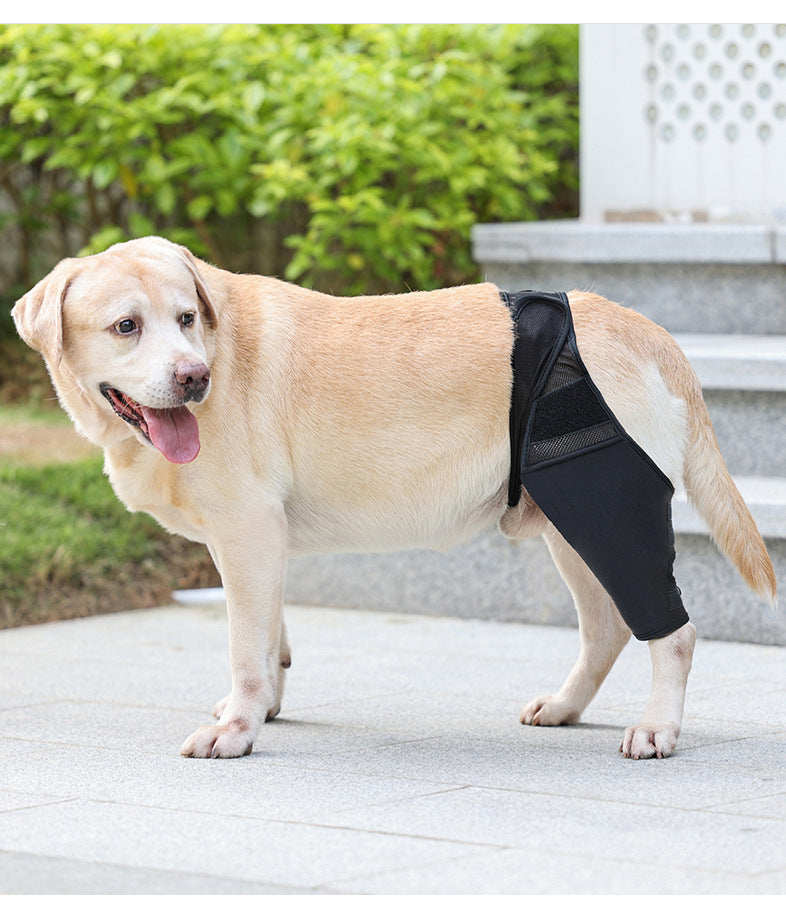 KFX-4955581 Pet Joint Protector for Dogs - Postoperative Knee Pad with Auxiliary Strap - Available in Multiple Sizes