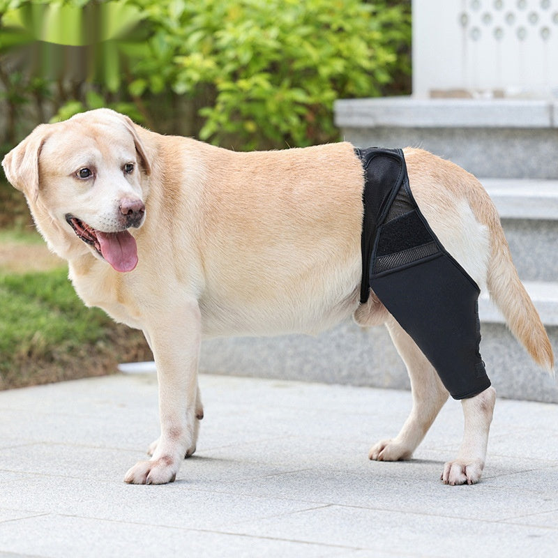 KFX-4955581 Pet Joint Protector for Dogs - Postoperative Knee Pad with Auxiliary Strap - Available in Multiple Sizes