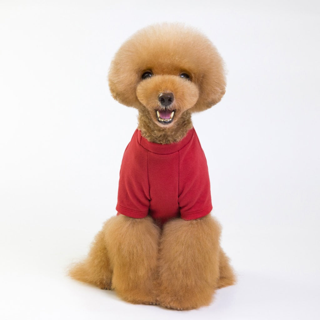KFX-4959293 Casual Three-Color Vest T-Shirt for Dogs